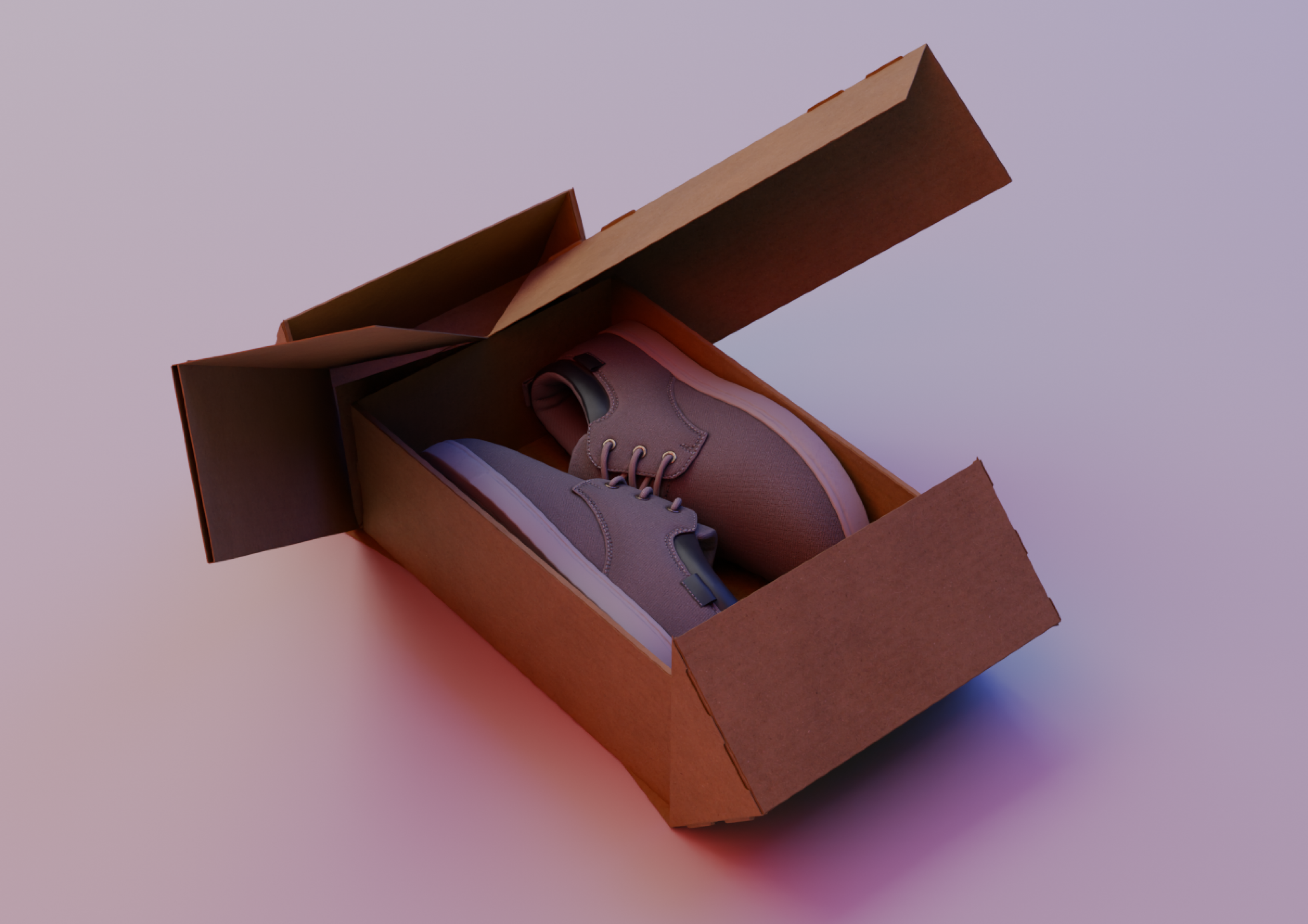 Sneaker packaging